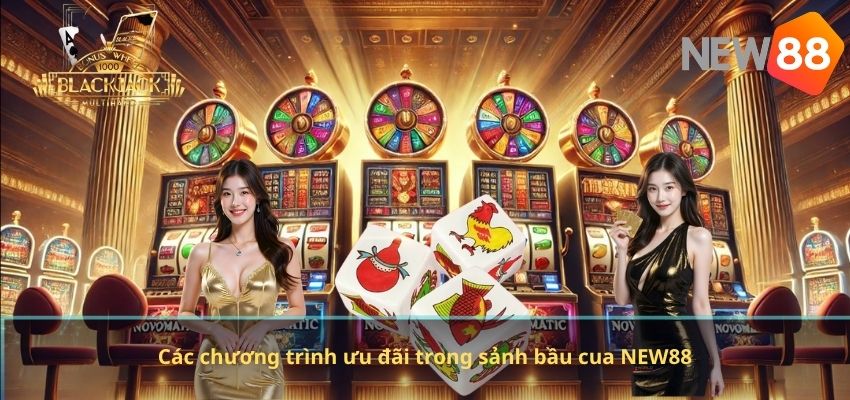 Các chương trình ưu đãi trong sảnh bầu cua NEW88